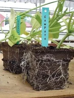 2-3/4" Square Cowpots 6-Packs, Set Of 4 -Flowers Plants Shop GS37034 05