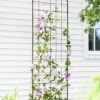 Jardin Flower Trellis -Flowers Plants Shop GS38689 02 tif