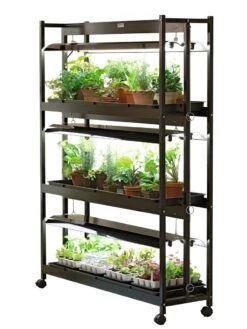 3-Tier Sunlite® Garden 11 3-Tier Sunlite® Garden -Flowers Plants Shop GS39357 001E psd