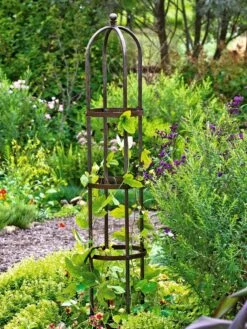 Jardin Bird Cage Support, 26" 10 Jardin Bird Cage Support, 26" -Flowers Plants Shop GS39529 01 tif