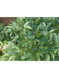 Grow Through Supports, Set Of 3 -Flowers Plants Shop GS40172 01 1