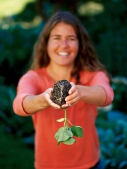 Deep Root Seedstarting System, Black -Flowers Plants Shop GSCOVSPR06D2 01