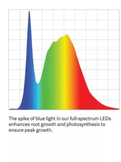 Medium Bamboo LED Grow Light Garden 33 Medium Bamboo LED Grow Light Garden -Flowers Plants Shop LED ColorSpectrum grid PDP 20