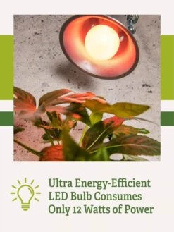 Miracle LED® Absolute Daylight™ Max Flowering Grow Light Bulb -Flowers Plants Shop Miracle Daylight Bulb 2