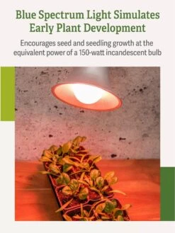 Miracle LED® Absolute Daylight™ Max Flowering Grow Light Bulb -Flowers Plants Shop Miracle Daylight Bulb 4
