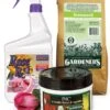 Rose Success Kit -Flowers Plants Shop gs35235 001e