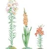 Single Stem Supports, Set Of 3 2 Single Stem Supports, Set Of 3 -Flowers Plants Shop gs37472 01e