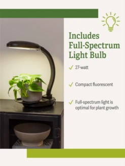 Agrobrite Desktop Plant Light 14 Agrobrite Desktop Plant Light -Flowers Plants Shop webimage Agrobrite Desktop